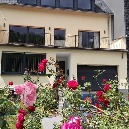 Ferienwohnung "Zum Klosterruinenblick" Kröv Exterior foto